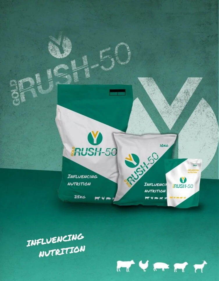Gold Rush-50