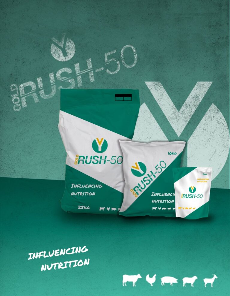 Gold Rush-50