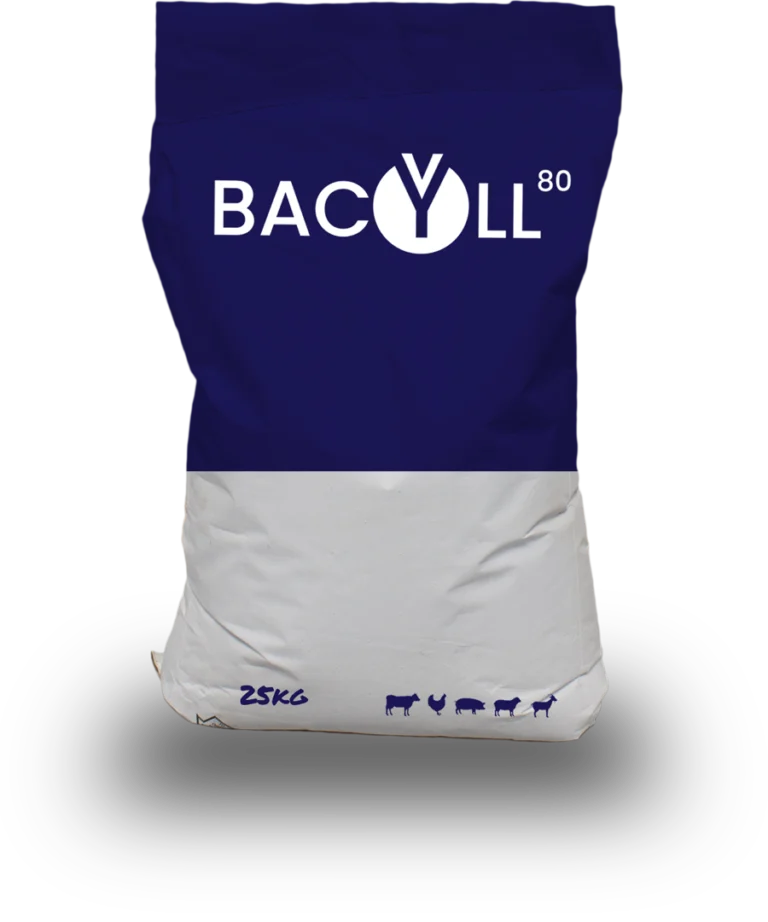 PBACILL-80