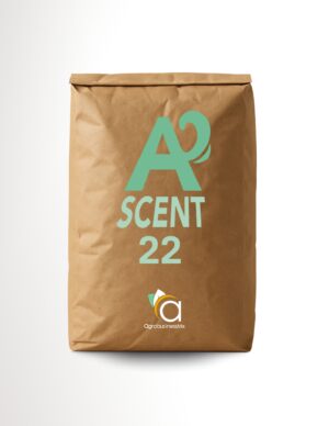 ASCENT 22