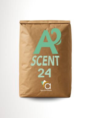 ASCENT 24