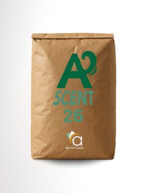 ASCENT 26