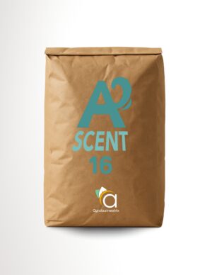 ASCENT 16