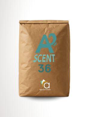 ASCENT 36
