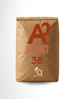 ASCENT 38