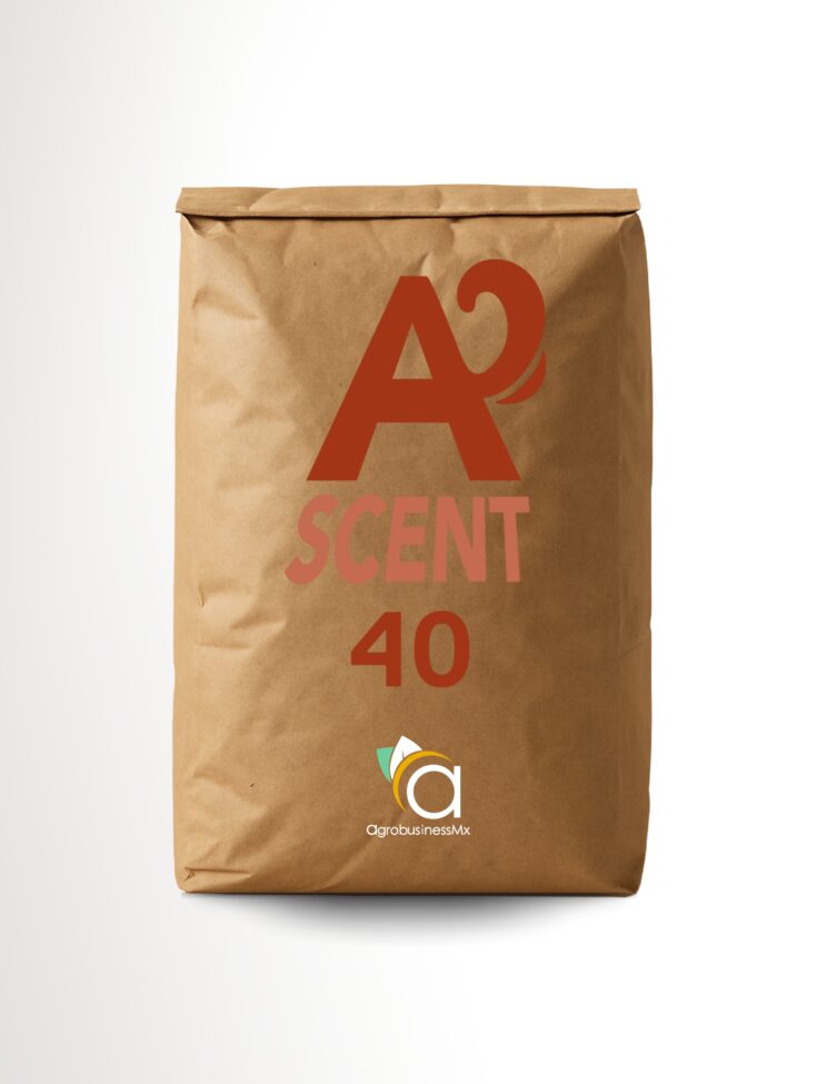 ASCENT 40