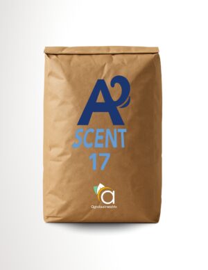 ASCENT 17