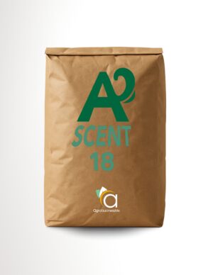 ASCENT 18