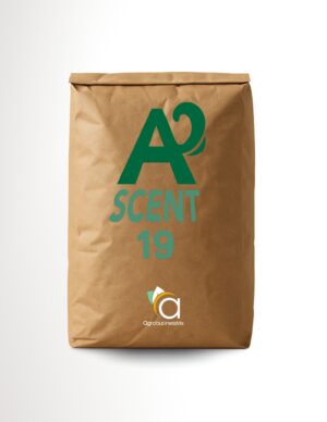 ASCENT 19