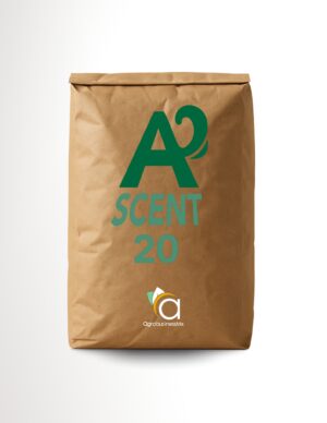 ASCENT 20