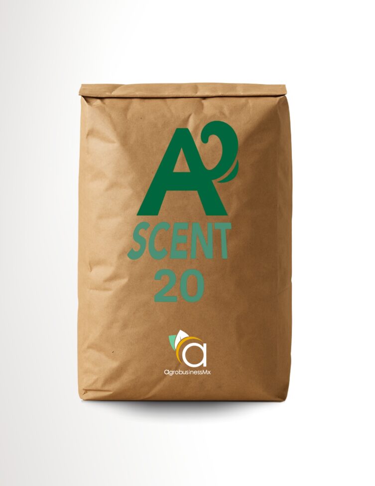 ASCENT 20