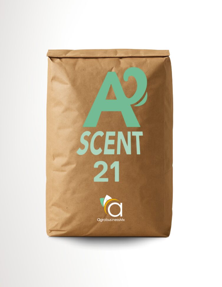 ASCENT 21
